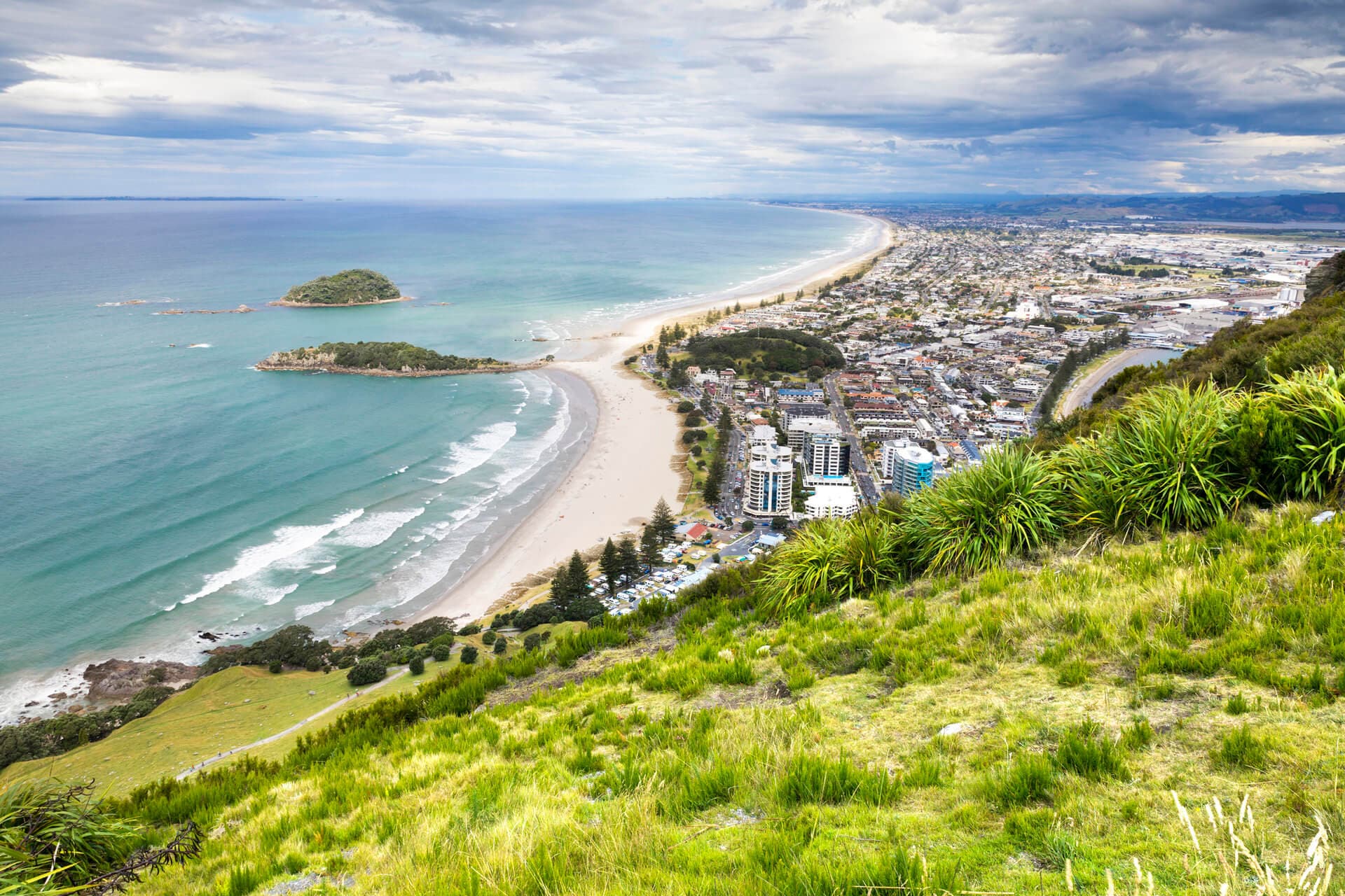 Bay of Plenty