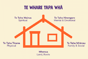 Diagram of Te Whare Tapa Whā, or, Wellbeing. A house with the pillars: spiritual, mental & emotional, family & social, land & roots and physical wellbeing