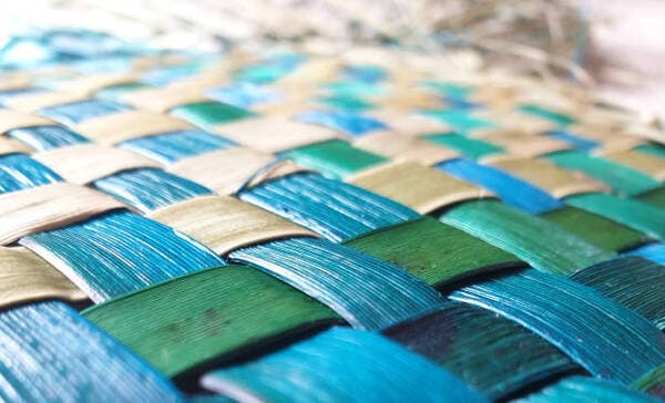 APM’s scholarship programme to support Māori and Pasifika allied health students